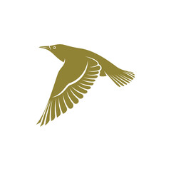 Starling bird design vector illustration, Creative Starling bird logo design concept template, symbols icons