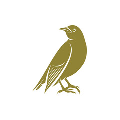 Starling bird design vector illustration, Creative Starling bird logo design concept template, symbols icons
