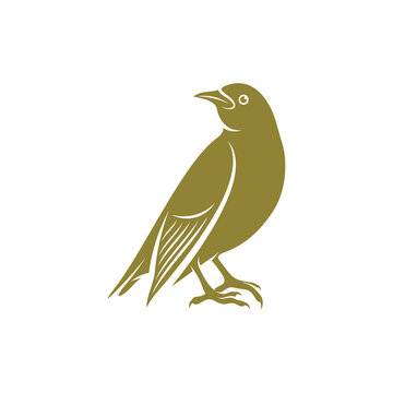 recommend clip art: Starling bird design vector illustration, Creative Starling bird logo design concept template, symbols icons