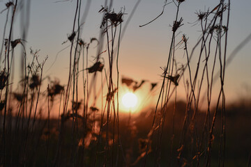 Sonnenuntergang in der Natur