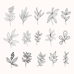 Set of modern line art floral elements.hand draw florals