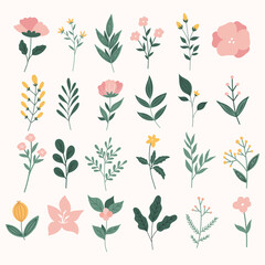 Set of floral elements.Flower and green leaves.