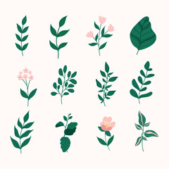 Set of floral elements.Flower and green leaves.