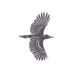 Obraz premium Woodpecker bird design vector illustration, Creative Woodpecker bird logo design concept template, symbols icons