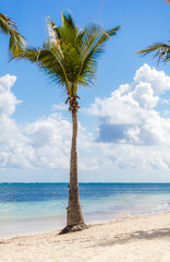 Punta Cana, in the Dominican Republic. December 2020. Woman relaxing on the beach in the Caribbean. 