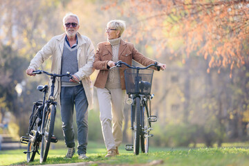 Cheerful active senior couple with bicycles walking through park together. Perfect activities for...