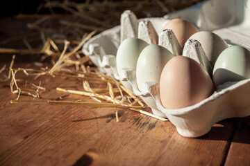 Closeup on colorful eggs in carbon box