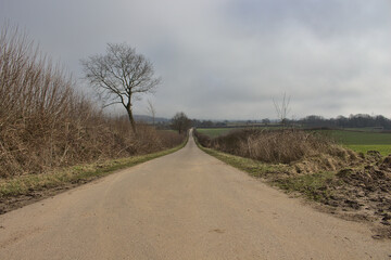 road in the countryside