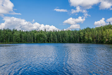 View of The Saarilampi Pond in summer, Nuuksio National Park, Espoo, Finland