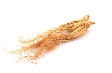 ginseng isolated on white background