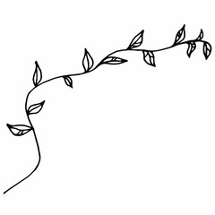 Hand drawn doodle plant branch isolated on white background.Vector doodle plants illustration.