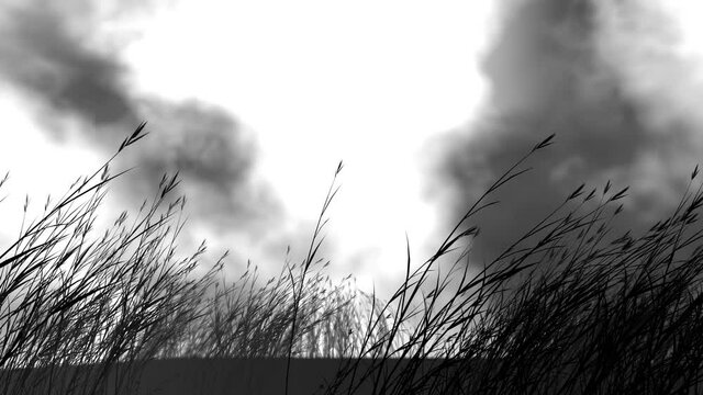 graphic reed blowing in stormy wind, loop with alpha matte