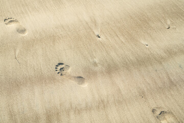 Fußabdrücke im Sand am Strand bei strahlendem Sonnenschein