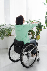 Back view of brunette woman in wheelchair warming up near plants at home