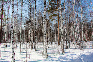 210308 Этнографический музей Тальцы Россия Taltsy Ethnographic Museum Russia