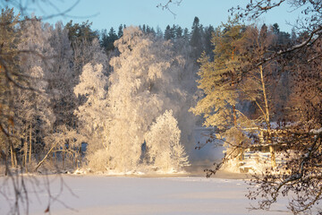 Mist, Frost and Frozen Lake. A sunny but freezing temperature on this winter day in Finland makes the birch tree's branches turn white while the river rapids creates mist and the lake frozen.