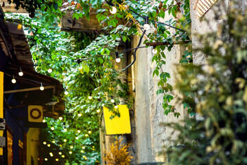 lighting bulb on a string of wire in the leaves of a plant on a narrow old town street to glow decoratively, nobody.