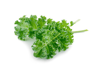 Fototapeta premium organic green kale leaf vegetable closeup on white background