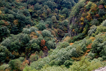 a mountain, valley