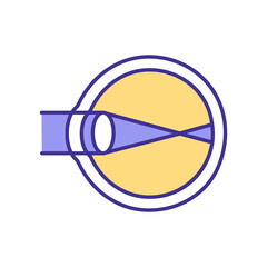 Eye functionality RGB color icon. Way how light is gathered with special eyeball lens. Person eyes system functionality explanation. Isolated vector illustration