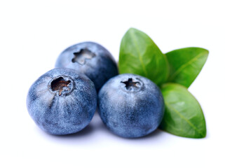 Blueberries with leaves on white backgrounds.