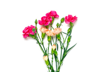 Fototapeta na wymiar bouquet of pink carnation flower isolated on white background Top view Flat lay Holiday card 8 March, Happy Valentine's day, Mother's, Memorial, Teacher's day concept Copy space 