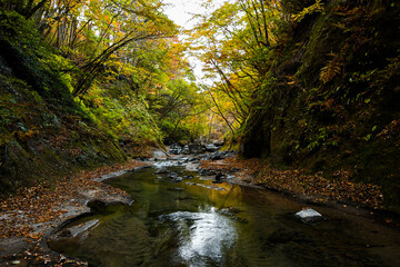 Obraz premium 河川と山