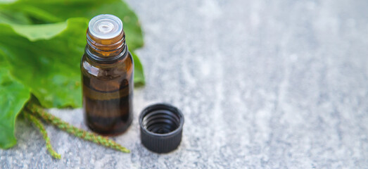 Plantain essential oil in a small bottle. Selective focus. © Milena