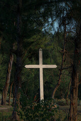 spent some time to observe my photo