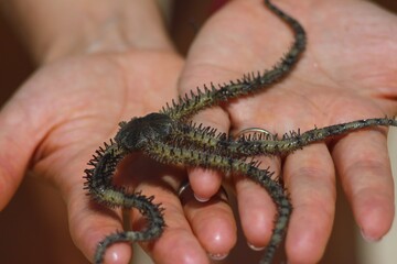 Safaga, Egypt: Travel along the Soma Bay