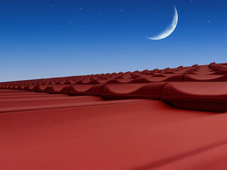 view of the new roof, the moon and the sky