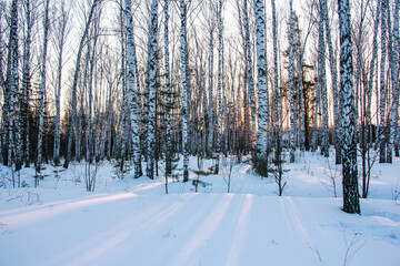210312 Новосибирск Россия Novosibirsk Russia