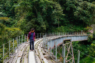 man, bridge, square shirt, train tracks, old bridge, view, walking, nature, lifestyle, trekking,...