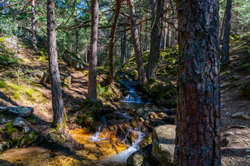 Un paisaje encantado, con un arroyo precioso. 