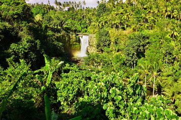 Bali Waterfall, Indonesia