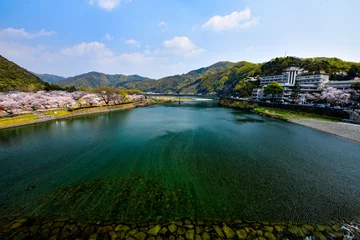 Foto op Canvas さくらと川の流れを錦帯橋から見た景色 © worm_ flag