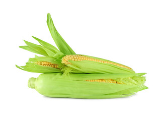Three fresh corn cobs with green leaves isolated on white background	   