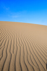 鳥取砂丘の風紋