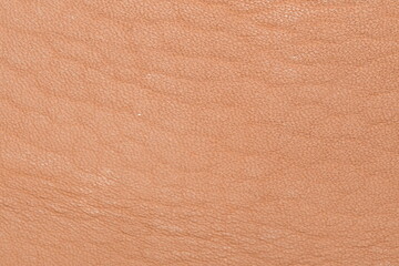 Texture of vegetable tanned leather