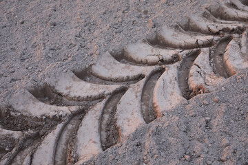 Traktorspuren auf einem Acker © as-PROmedia