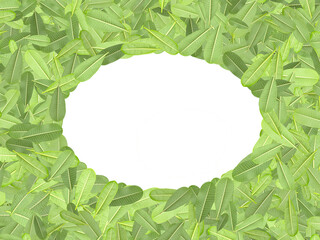 Green leaves arranged in a circle for a photo frame with clipping path.