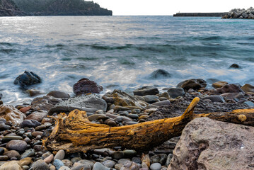 Fototapeta na wymiar Coastal driftwood and white waves