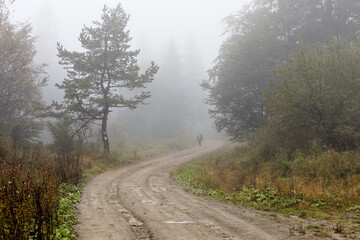 Foggy morning in mountains forest. Dirt road tourist trail in mist. Person in the fog..