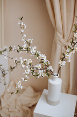 blooming cherry branches interior room greece style