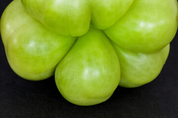 Unripe green tomato of unique, unusual shape. Purple calabash tomato heirloom. Eco vegetables.