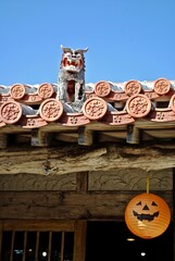 Okinawa shisa sits on a traditional Okinawan red ceramic tile roof. Shisa  is a traditional Ryukyuan cultural artifact to ward off evil spirits. A jack-o-lantern decoration shows American influence. 