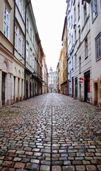 Fototapeta na wymiar Prague, Czech Republic: Cobblestones pave this deserted alley. 