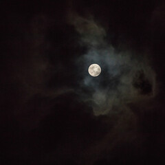 Naklejka na ściany i meble full moon in the night