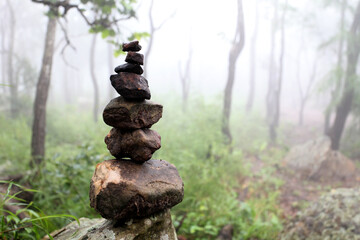 The rocks are laid out in the park on a foggy day