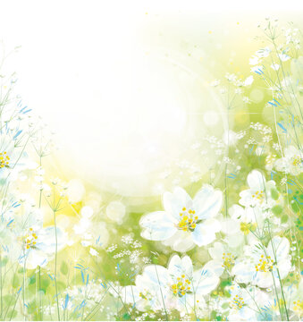 Vector  green, spring,  floral background. White flowers and plants nature background.